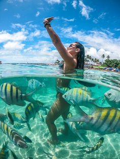 a woman is swimming in the ocean with many fish around her and pointing at something