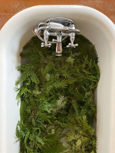 a bathtub filled with green plants and water faucets