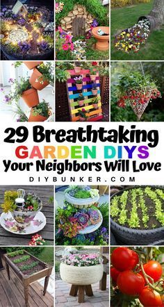 the cover of 29 breathtaking garden diys your neighbors will love, with pictures of various