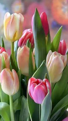 a bunch of pink and yellow tulips in a vase