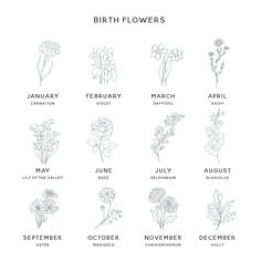 the birth flowers are shown in black and white, with different names on each flower