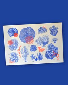 a blue and red poster with corals on it's side, against a blue background