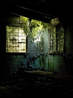 an empty room with windows and plants growing out of the window sill at night