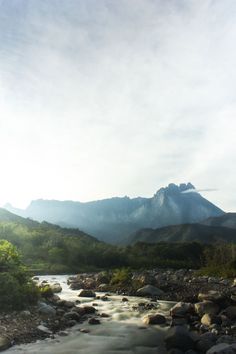 a river running through a lush green forest filled with mountains in the distance, under a cloudy blue sky