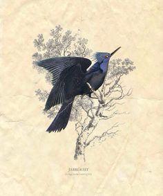 a blue bird sitting on top of a tree branch