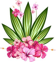 pink flowers and green leaves on a white background