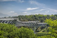 a bridge that is going over some trees