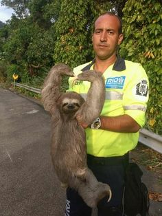 a man holding a baby sloth in his arms while standing on the side of a road