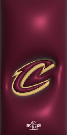 an image of a cell phone case that has the logo of a team on it