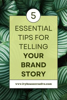 A compelling brand story is crucial. It differentiates your business, builds connections, and fosters trust. This post explores the importance of telling your unique brand story and integrating it into your marketing strategy. Learn how to create a memorable narrative that highlights your origin, mission, unique qualities, and customer experiences--enhancing your brand's impact. Click to discover the power of storytelling for your business's success. Story Branding, Power Of Storytelling, Traditional Advertising, Unique Selling Proposition