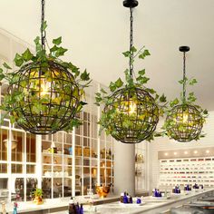 three hanging planters in the kitchen with plants growing out of them and lights on