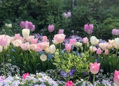 many different colored tulips and other flowers in a garden