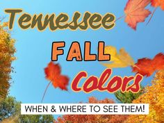 the words tennessee fall colors are in front of colorful trees with leaves falling from them