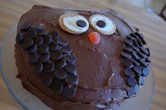 a chocolate frosted cake decorated with an owl face