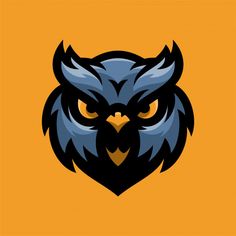 an owl's head with yellow background and black outline on the front, which is part of a basketball team logo