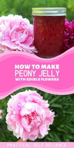 homemade peony jelly made with edible flowers during summer when the flowers are in bloom Peony Jelly Recipes, Cooking With Flowers, Peony Recipes, Peony Jelly, Floral Jelly, Floral Recipes, Flower Jam, Flower Recipe