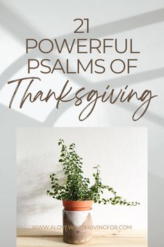 a potted plant sitting on top of a table with the words 21 powerful palms of thanksgiving