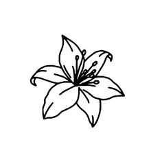 a black and white drawing of a flower