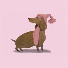 a brown dog with a pink scarf on its back and a pink pom - pom