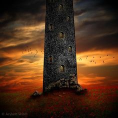 a tall tower sitting on top of a lush green field next to a red sky