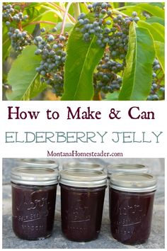 how to make and can elderberry jelly