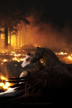 a horse with its head on another horse's back in front of a fire