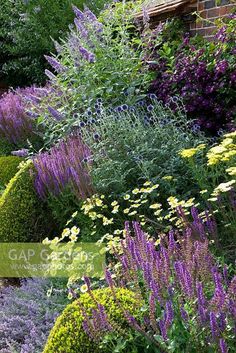 a garden filled with lots of purple and yellow flowers