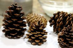 three pine cones sitting on top of a table