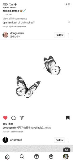 two black and white butterflies flying in the air