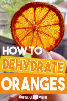 Dehydrated orange slice for dried orange tutorial How To Dehydrate Oranges In Dehydrator, How To Dehydrate Oranges, Dehydrate Oranges, Dehydration Recipes, Dehydrating Vegetables, Dry Orange Slices, Dehydrated Oranges, Dehydrator Recipes Fruit, Dry Canning