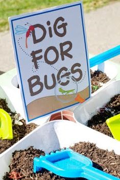 there is a sign that says dig for bugs in the dirt with shovels and plants