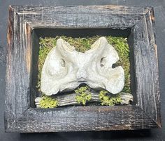 a wooden frame with moss and rocks in it