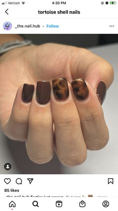 Brown Short Nails Ideas, Thanksgiving Gel Nails Short, Short Round Brown Nails, Biab Nails Tortoise Shell, Fall Nails Tortoise, Fall Nail Designs Tortoise, Autumn Tortoise Shell Nails, Autumn Nails Tortoise Shell, Nye Nails