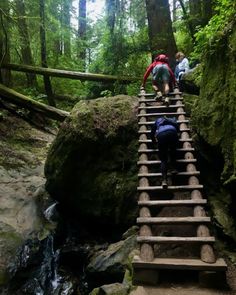 three people climbing up stairs in the woods with rocks and water running down one side