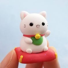 a small white cat sitting on top of a piece of red material in someone's hand