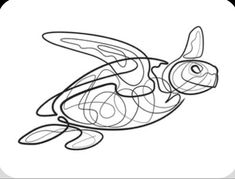 a drawing of a turtle that is drawn in black and white with lines on it