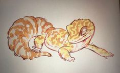 a drawing of a gecko laying on its back