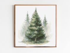 a watercolor painting of a pine tree on a white wall with a wooden frame