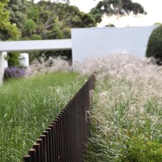 a black fence is in the middle of some tall grass and bushes, with a white building in the background