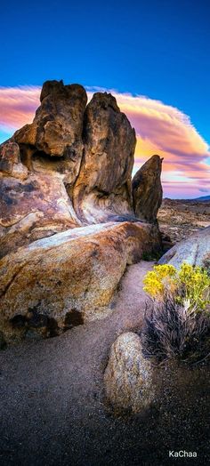 some rocks and plants in the desert