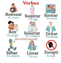 an image of different types of verbos