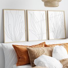 three framed art prints on the wall above a bed