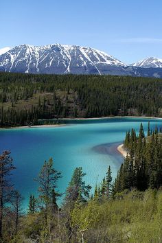 a large body of water surrounded by trees and snow capped mountain range in the background