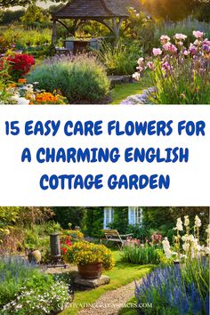 Create a charming English cottage garden with ease using these 15 low-maintenance flowers. Discover a variety of beautiful blooms that require minimal care while adding color and charm to your garden. From classic roses to delicate lavender, these easy-care flowers are perfect for achieving the quintessential cottage garden look without the hassle. Transform your outdoor space into a picturesque haven with these effortless and enchanting flower choices. Rustic Pathways, Traditional English, English Cottage, Floral Display, English Garden, Green Space, Beautiful Blooms