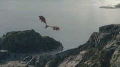 two large birds flying over a rocky cliff