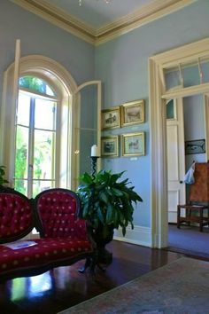 a living room with two red couches and a potted plant