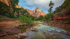 a river running through a lush green forest filled with trees and rocks under a cloudy sky