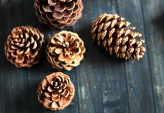 several pine cones are arranged on a table