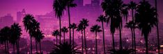 palm trees in front of a city skyline at night with purple hues and lights