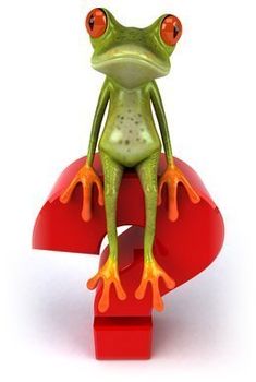 a green frog sitting on top of a red arrow with orange legs and eyes, looking at the camera